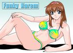  brown_hair dead_or_alive hitomi hitomi_(doa) mizugi swimsuit tecmo 