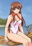  brown_eyes brown_hair dead_or_alive kasumi_(doa) long_legs one-piece_swimsuit rudoni sitting solo swimsuit 