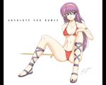  athena_(series) bikini blue_eyes feet onaya_masakazu princess_athena purple_hair red_bikini sandals snk solo spread_legs swimsuit sword weapon 