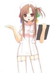  95-tan brown_hair clipboard garter_belt glasses kashiwamochi_yomogi long_hair nurse os-tan red_eyes solo thighhighs 