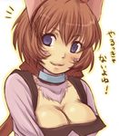  animal_ears blue_eyes brown_hair cat_ears catgirl fang hack hack_roots nekomimi short_hair tabby 