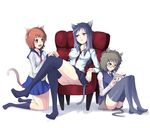  animal_ears bad_id bad_pixiv_id blue_eyes book brown_eyes brown_hair cat_ears cat_tail crossed_legs glasses grey_hair kasai_shin legs long_hair multiple_girls original reading red_eyes school_uniform short_hair sitting socks tail thighhighs zettai_ryouiki 