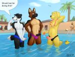  2019 anthro balls beverage border_collie canid canine canis clothing collie comparing comparing_penis digital_media_(artwork) domestic_dog erection exhibitionism flugeldog foreskin fur german_shepherd golden_retriever group hi_res holding_penis male mammal masturbation nipples nude open_mouth outside palm_tree penile_masturbation penis rubber_duck smile speech_bubble speedo swimming_pool swimsuit tongue tree wet wet_fur 