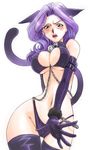  animal_ears blush breasts cat_ears cleavage code_geass cornelia_li_britannia covered_nipples elbow_gloves gloves kacka large_breasts purple_hair solo tail thighhighs 
