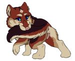  2019 animal_genitalia animal_pussy anus canid canine canine_pussy canis chibi digital_media_(artwork) female feral fur mammal pussy red_fur simple_background solo tjin_(artist) tjin_(character) wolf 