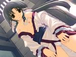  animal_ears black_hair breasts brown_eyes dog_ears doggirl eruru eruruw flat_chest long_hair open_clothes open_shirt panties pony_tail ponytail shirt underwear utawareru_mono utawarerumono 