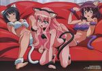  :3 absurdres animal_ears bra breasts cat_ears fujii_masahiro henrietta_de_tristain highres large_breasts lingerie louise_francoise_le_blanc_de_la_valliere megami multiple_girls official_art panties paw_pose pink_eyes pink_hair pinup scan siesta small_breasts tail underboob underwear underwear_only zero_no_tsukaima 
