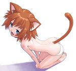  animal_humanoid bell blue_eyes brown_hair cat_humanoid clothed clothing collar dimple felid felid_humanoid feline feline_humanoid female hair happy humanoid male mammal mammal_humanoid panties perspective_censoring simple_background solo topless underwear unknown_artist white_background white_clothing white_panties white_underwear young 