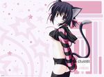  animal_ears black_x_pink blush breasts cat_ears cat_tail catgirl midriff nanao_naru nekomimi short_hair shorts tail thighhighs wallpaper 