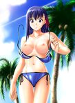  artist_request bikini bikini_pull bikini_tan blue_bikini breasts day fate/stay_night fate_(series) large_breasts matou_sakura nipples outdoors palm_tree purple_eyes purple_hair shiny shiny_clothes side-tie_bikini solo surprised swimsuit tan tanline thigh_gap tree wardrobe_malfunction wet 