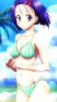  beach bikini cloud day lowres outdoors sairenji_haruna screencap side-tie_bikini sky solo striped striped_bikini swimsuit to_love-ru vertical-striped_bikini vertical_stripes 