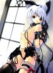  animal_ears armlet cat_ears collar copyright_request flat_chest garters gloves heterochromia highres lingerie miwa_yoshikazu non-web_source short_hair solo suspenders tail thighhighs underwear white_hair 
