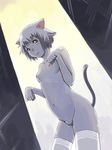  :3 animal_ears breasts copyright_request hidari_kagetora nipples nude paw_pose small_breasts solo tail thighhighs 
