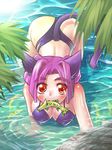  animal_ears bad_id bad_pixiv_id bikini blush breasts cat_ears covered_nipples fish highres large_breasts mouth_hold original purple_hair r-ex red_eyes short_hair solo swimsuit tail water wet 