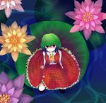  ascot flower from_above green_hair kazami_yuuka kazu_(muchuukai) kneeling lily_pad plaid plaid_skirt plaid_vest red_eyes short_hair skirt skirt_set solo touhou vest 