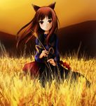  animal_ears brown_hair holo long_hair solo spice_and_wolf wheat wolf_ears yorimichi_(aoixx) 