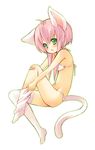  :o ahoge animal_ears bandaid bandaid_on_knee bikini blush cat_ears cat_tail dressing from_side full_body green_eyes midriff original pink_hair pocopoco simple_background solo swimsuit tail thighhighs thighhighs_pull white_background white_bikini white_legwear 