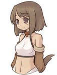  7010 animal_ears brown_eyes brown_hair collar fantasy_earth_zero lowres midriff navel solo tail 