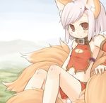  7010 animal_ears brown_eyes collar copyright_request lowres midriff silver_hair solo tail 