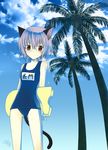  animal_ears bangs cloud day glasses nagato_yuki name_tag one-piece_swimsuit school_swimsuit shima_yukiwa short_hair sky solo suzumiya_haruhi_no_yuuutsu swimsuit tail 