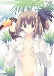 animal animal_on_shoulder artist_request bird bird_on_shoulder blue_eyes brown_hair copyright_request hair_ribbon highres open_clothes open_shirt ribbon shirt side_ponytail solo toucan 