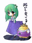  blouse blue_dress blush brown_footwear dress frog frog_hair_ornament green_hair hair_ornament kanji kochiya_sanae moriya_suwako ngayope shoes snake_hair_ornament touhou yellow_eyes 