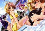  bikini blonde_hair blush breasts brown_hair day flat_chest highres kamishiro_rin kazetsubaki_kuriko komatsu_eiji kurioka_maiho large_breasts maburaho minigirl miyama_yuuna multiple_girls pink_hair ponytail purple_hair shikimori_kazuki short_hair swimsuit wallpaper water yamase_chihaya 