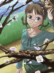  akizuki_ritsuko blue_shirt blue_sky braid branch brown_eyes brown_hair cherry_blossoms day glasses goggles grass green_pants idolmaster idolmaster_(classic) idolmaster_1 inu_(aerodog) pants road shadow shirt sky solo tree 