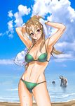  arms_up bikini blush breasts brown_eyes brown_hair cleavage cloud day highschool_of_the_dead large_breasts miyamoto_rei ocean outdoors satou_shouji sky solo swimsuit towel wet zombie 