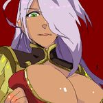  3_(s_no_ji) bad_id bad_pixiv_id breasts cleavage_cutout crop_top dragonaut garnet_mclane huge_breasts lowres oekaki solo 