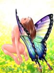  ass breasts brown_hair butterfly_wings fairy long_hair minigirl nature nipples nude tagme wings 