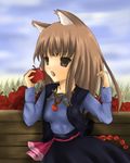  apple bad_id bad_pixiv_id food fruit holding holding_food holding_fruit holo lowres solo spice_and_wolf toda_ayu 