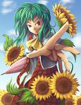  ascot closed_umbrella day flower foreshortening green_hair hands kazami_yuuka koto_tsubane plaid plaid_skirt plaid_vest reaching red_eyes short_hair skirt skirt_set sky solo sunflower touhou umbrella vest 