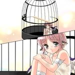  bandages cage coco_(artist) lowres minigirl mystia_lorelei solo touhou 