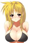  bikini black_bikini blonde_hair blush breasts cleavage fate_testarossa huge_breasts long_hair lyrical_nanoha mahou_shoujo_lyrical_nanoha_strikers nekomamire red_eyes solo swimsuit 