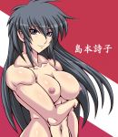  1girl black_hair breasts long_hair nipples nude original shimamoto_utako solo tagme taroimo_(00120014) 
