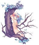  against_tree ahoge armpits arms_up ass blue_hair breasts copyright_request crossed_arms dryad leaf_girl monster_girl nanakusa nude plant_girl red_eyes sideboob small_breasts solo tail tree 
