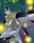  antennae asahina fireflies insect_wings lowres solo touhou wings wriggle_nightbug 