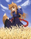  animal_ears brown_hair holo long_hair nekohane_ryou red_eyes solo spice_and_wolf tail wheat wolf_ears 