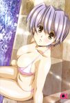 alpha_(urushihara) bikini breasts checkered checkered_floor cleavage from_above highres large_breasts lavender_hair looking_at_viewer parted_lips pink_bikini pool poolside short_hair sitting solo swimsuit urushihara_satoshi water yellow_eyes 