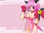  breasts leo_circle nipples pussy shishimaru_ken'ya tokyo_mew_mew uncensored 
