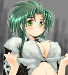  breasts cleavage cosplay covered_nipples front-tie_top green_eyes green_hair indiana_jones indiana_jones_(cosplay) jochuu-san large_breasts lowres nipples oekaki original see-through shirt solo tied_shirt white_shirt yagisaka_seto 