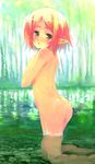  ass chinchickrin copyright_request elf green_eyes nature nude pointy_ears red_hair short_hair solo water 