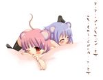  akeome akino_sora animal_ears blue_hair blush hands happy_new_year kotoyoro mouse_ears multiple_girls new_year original pink_hair red_eyes short_hair tail thighhighs translated 