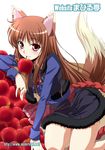  animal_ears apple brown_hair food fruit holo izumi_mahiru long_hair mouth_hold red_eyes solo spice_and_wolf tail wolf_ears 