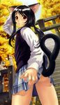  animal_ears ass autumn black_hair cat cat_ears cat_tail copyright_request eiwa leaf long_hair looking_back plaid plaid_skirt ponytail red_eyes school_uniform skirt skirt_lift solo stairs sweater_vest tail torii 