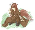  animal_ears holo solo spice_and_wolf tail wolf_ears zero_point 