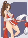  breasts brown_eyes brown_hair cleavage fatal_fury large_breasts long_hair nagase_haruhito pelvic_curtain ponytail revealing_clothes shiranui_mai snk solo the_king_of_fighters wide_hips 