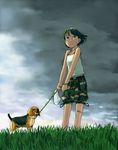  bandaid bandaid_on_knee beagle camouflage cloud cloudy_sky dark_clouds dog dog_walking grass green_eyes green_hair leash naotan nature original outdoors short_hair sky solo thigh_shorts 