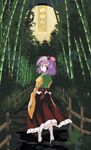  bamboo bamboo_forest flower forest hair_flower hair_ornament hieda_no_akyuu japanese_clothes koto moon nature purple_eyes purple_hair solo touhou tree 